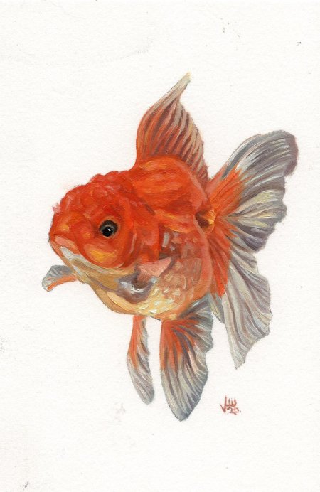 Акварели рыбки kitipong_maksin_