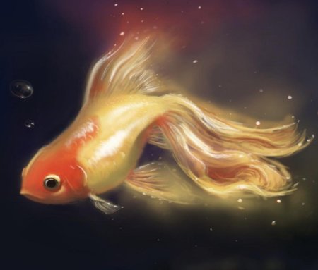 Рыба золотая рыбка