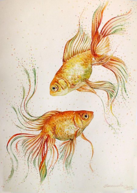 Вуалехвост рыбка акварель