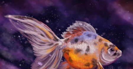 Золотая рыбка риукин ситцевый