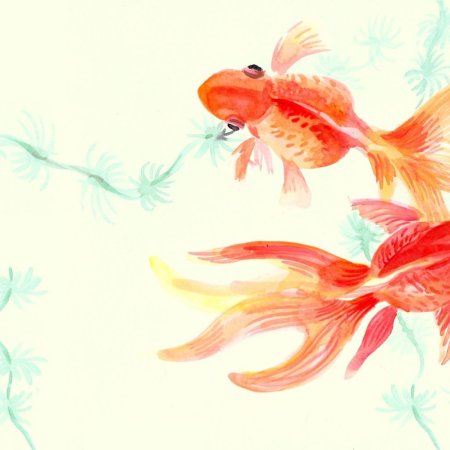 Вуалехвост рыбка акварель