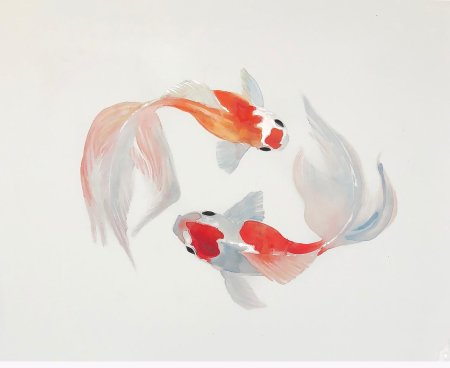 Рыбка карп кои акварелью