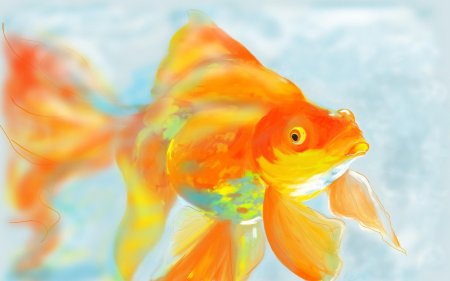 Золотая рыбка