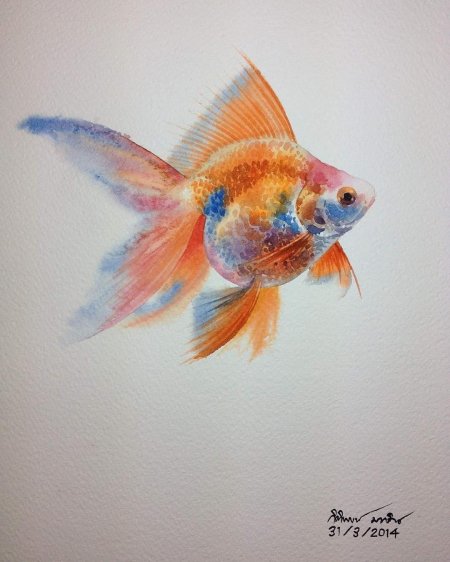 Акварели рыбки kitipong_maksin_