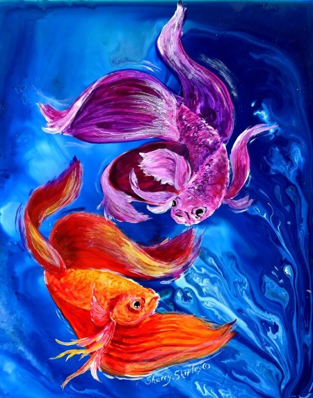 Красивые рыбки