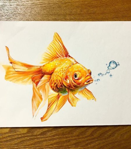 Рисование золотая рыбка (воск.мелки и акварель)