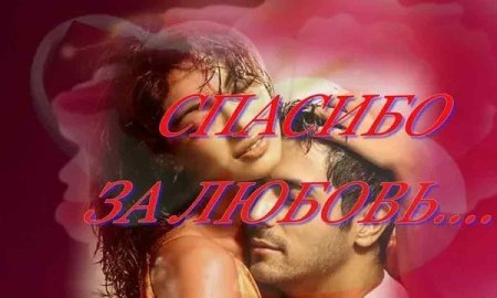 Спасибо за любовь