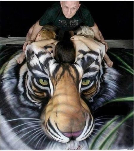 Johannes stoetter тигр