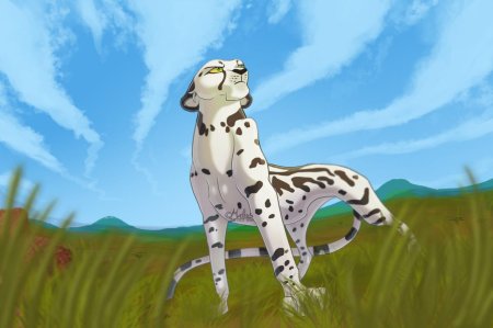 Wildcraft гепард