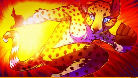 Фурри гепард