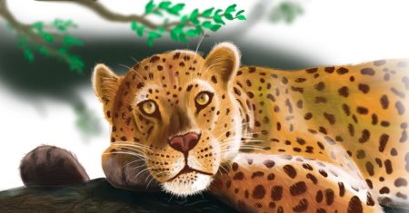 Животное леопард