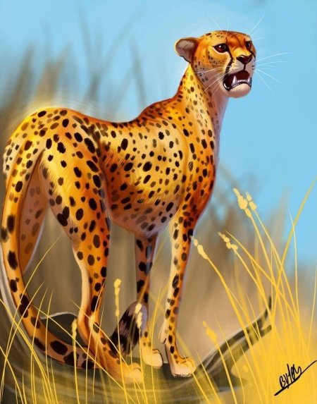 Гепард и королевский