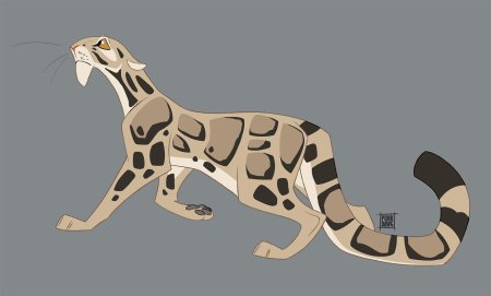 Арты леопарда