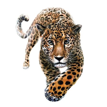 Леопард картина