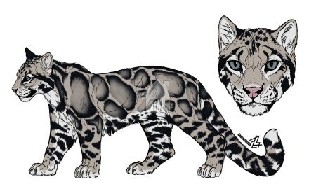 Дымчатые леопарды