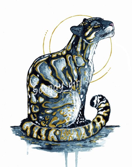 Дымчатые леопарды