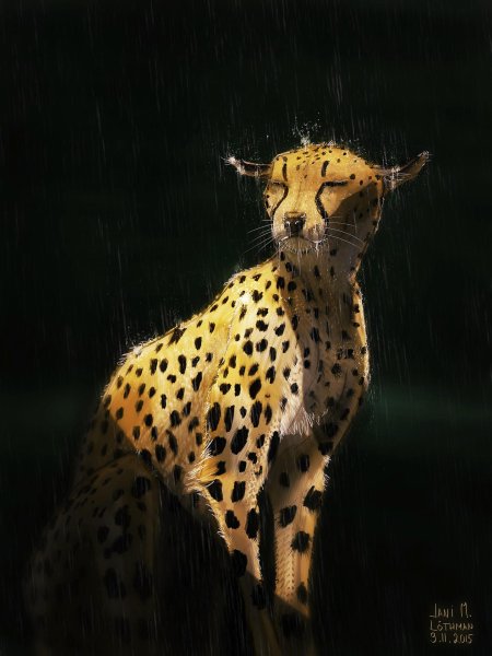 Гепард пиппа