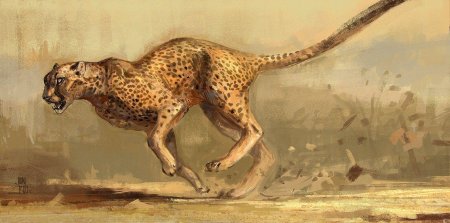 Гепард референс