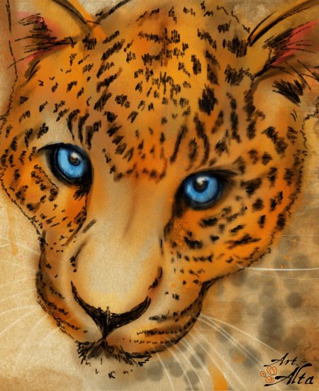 Леопард рисунки