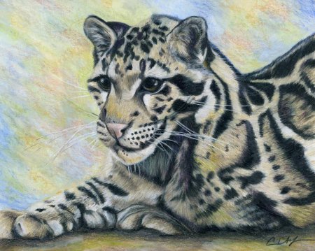 Снежный барс рисунки