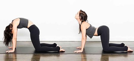 Упражнение кошечка