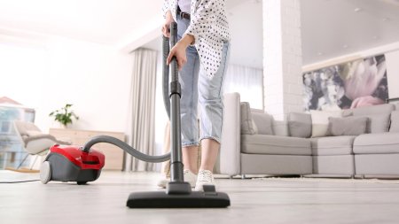 Кибер пылесос