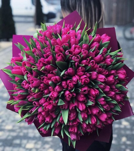 Тюльпан пурпл букет