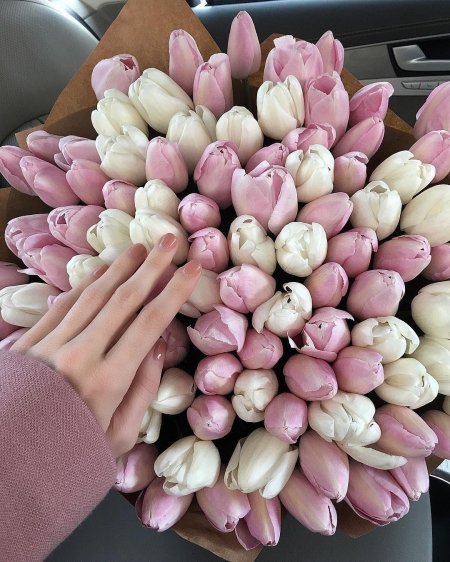 Огромный букет тюльпанов