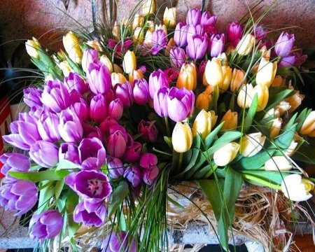 Букет с тюльпанами