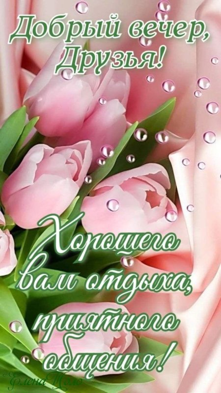 Розовые тюльпаны