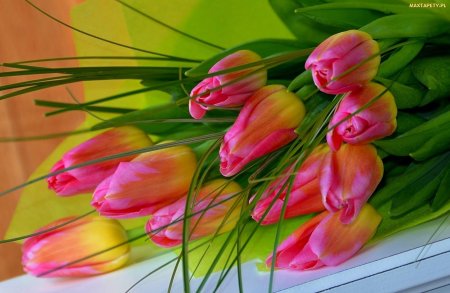 Красивые открытки с тюльпанами