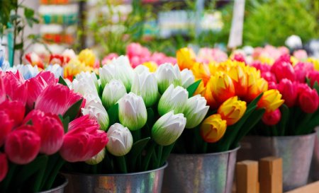 Тюльпаны к марта