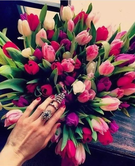 Букет тюльпанов в руках