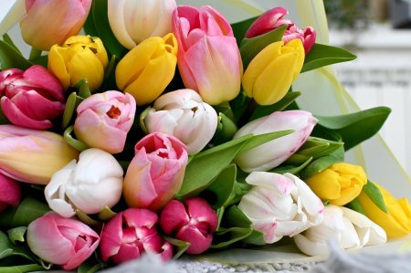 Красивые букеты тюльпанов
