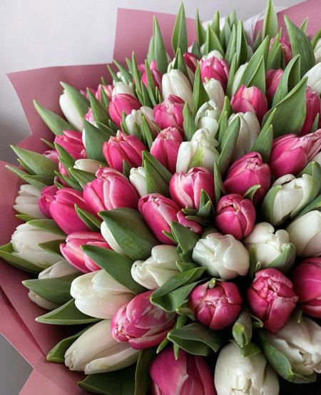 Цветы букет тюльпанов