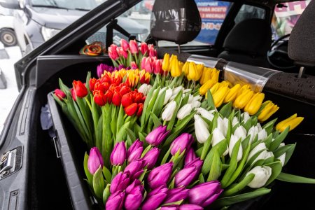 Машина с тюльпанами