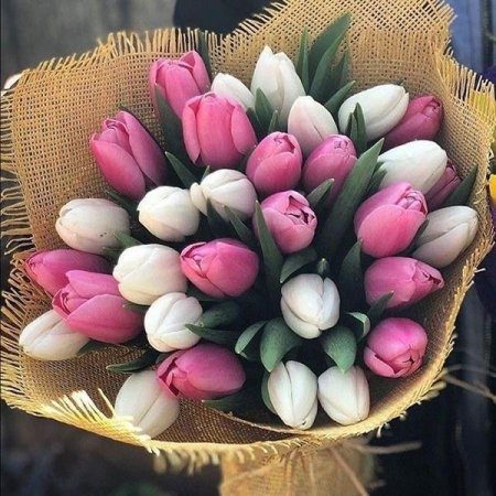 Букет тюльпан микс