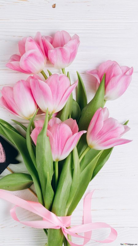 Красивый букет розовых тюльпанов