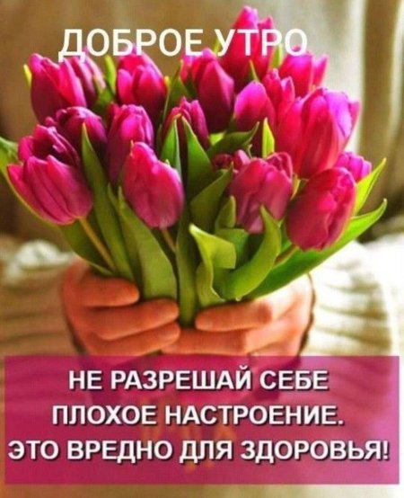 Женщины с тюльпанами