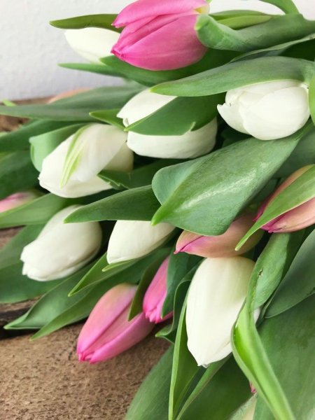 Тюльпан букет
