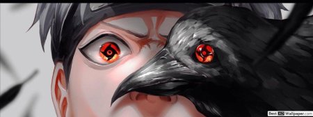 Шаринган шисуи