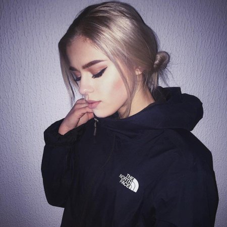 Куртка the north face