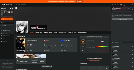 Лвл фейсит профиль