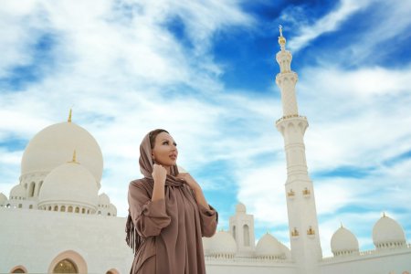 Мечеть в дубае шейха зайда