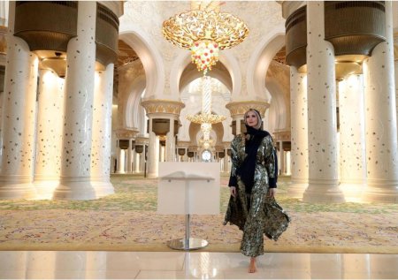 Мечеть шейха заида абу даби