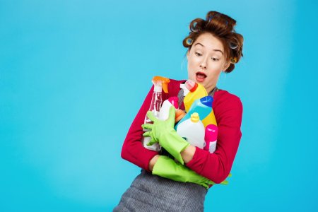 Домохозяйка