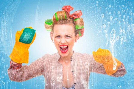 Образ домохозяйки