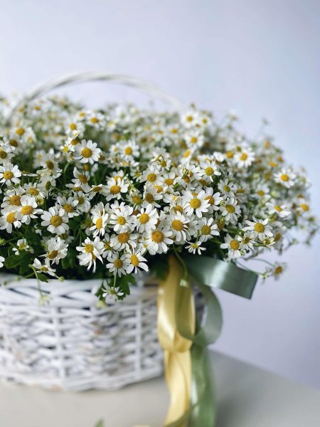 С ромашками