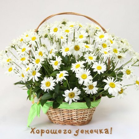 Букетище ромашек