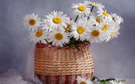 Букет ромашек